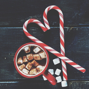 11少萝裸体🔞🔞🔞视频动漫
