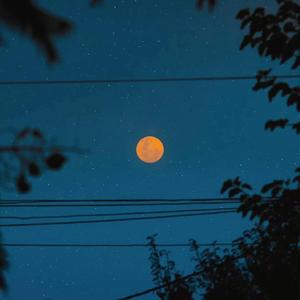 11少萝裸体🔞🔞🔞视频动漫
